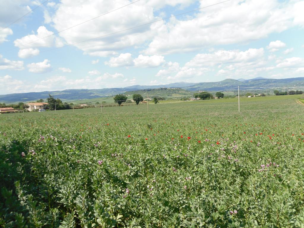 Agriturismo Il Giardino Saturnia Luaran gambar