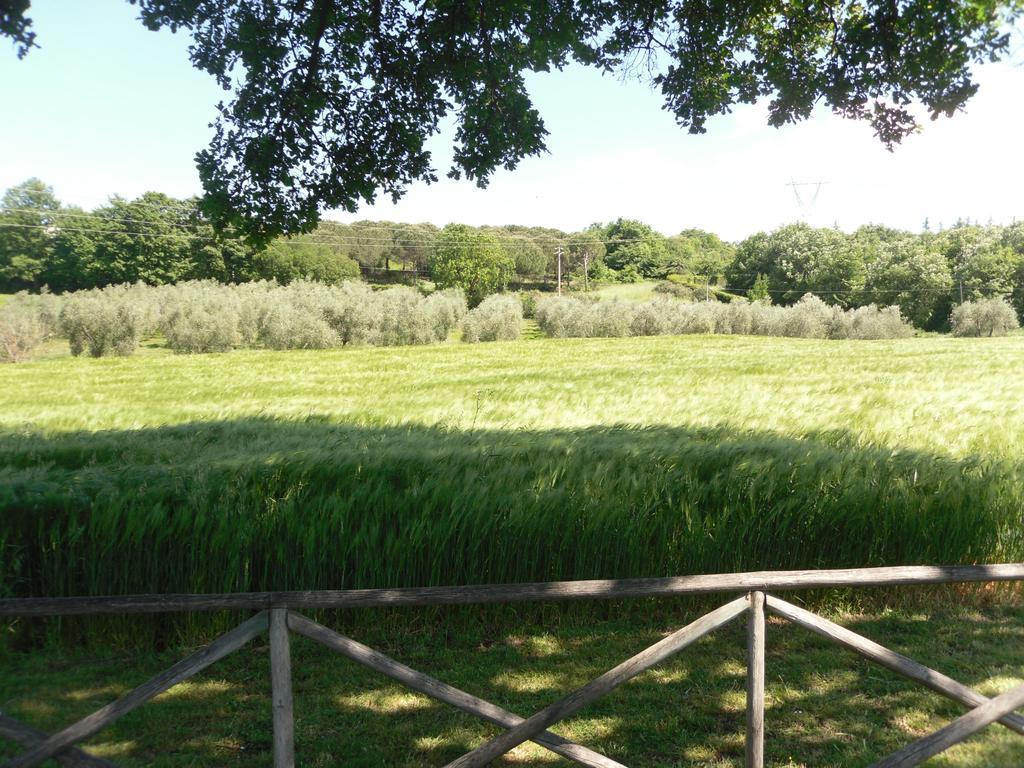 Agriturismo Il Giardino Saturnia Luaran gambar