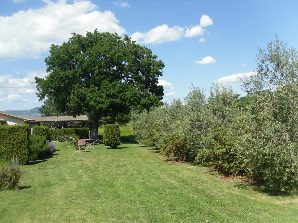 Agriturismo Il Giardino Saturnia Luaran gambar